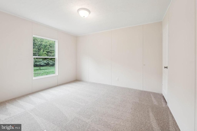 8708 Berkeley Farms Ln, Partlow, VA 22534 - empty room with carpet