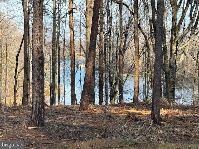 view of water feature