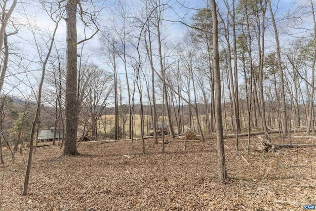 TBD Winsome Orchard Lane, North Garden, VA 22959