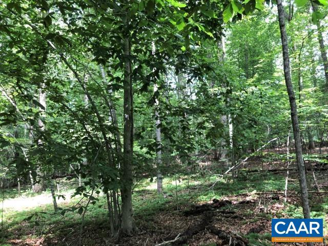 LOT22 Woodthrush Ln, Barboursville, VA 22923
