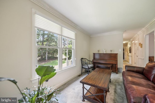 11068 Alum Springs Rd, Culpeper, VA 22701 - photo 28