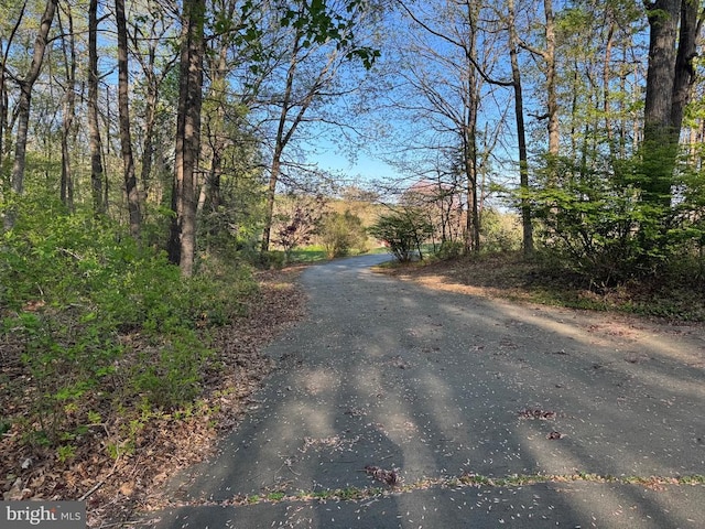 11068 Alum Springs Rd, Culpeper, VA 22701 - view of asphalt road featuring a wooded view