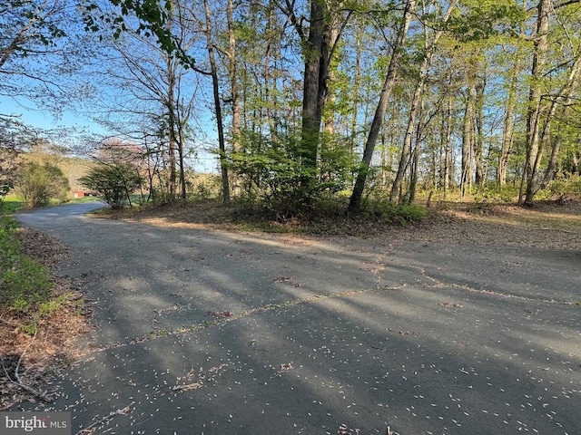 11068 Alum Springs Rd, Culpeper, VA 22701 - view of road