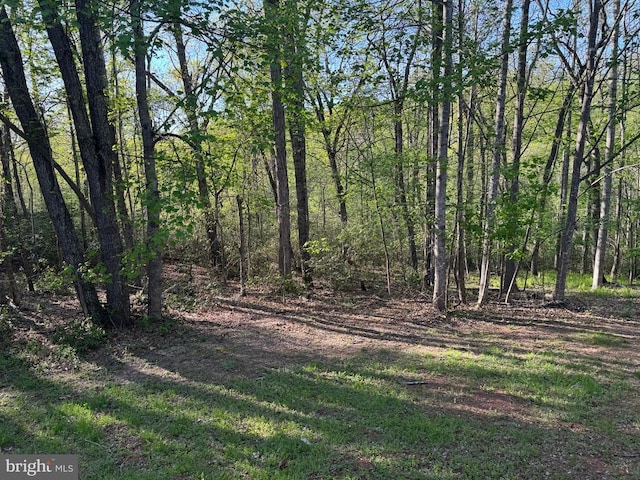 11068 Alum Springs Rd, Culpeper, VA 22701 - view of yard with a wooded view