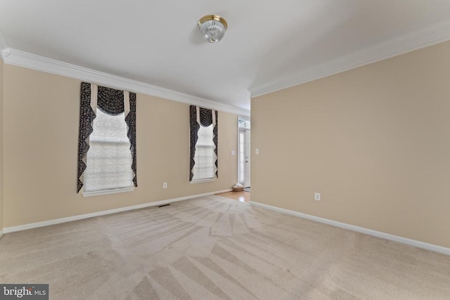 11307 Currituck Ct, Fredericksburg, VA 22407 - photo 7