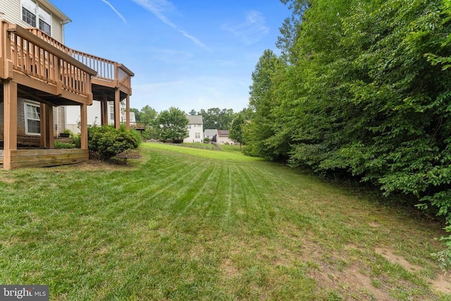 11307 Currituck Ct, Fredericksburg, VA 22407 - photo 54