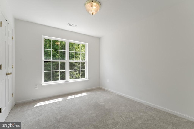 11307 Currituck Ct, Fredericksburg, VA 22407 - photo 30