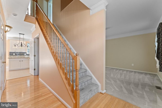 11307 Currituck Ct, Fredericksburg, VA 22407 - photo 6