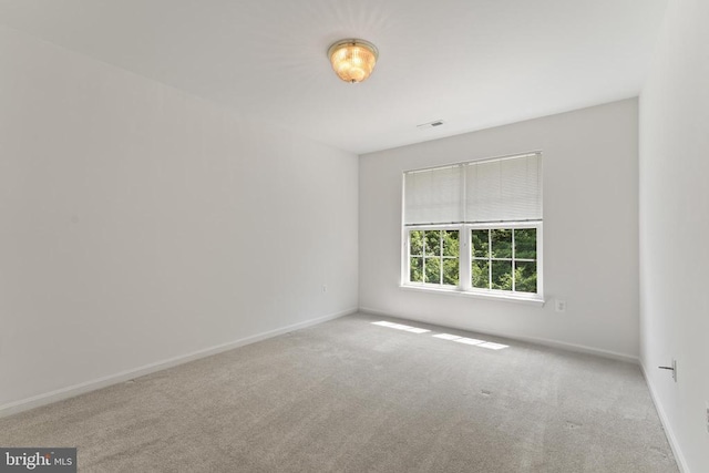 11307 Currituck Ct, Fredericksburg, VA 22407 - photo 35