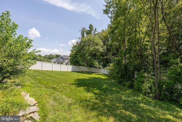 11220 Mungo Meadow Rd, Fredericksburg, VA 22407 - photo 51