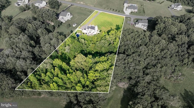 11220 Mungo Meadow Rd, Fredericksburg, VA 22407 - photo 26