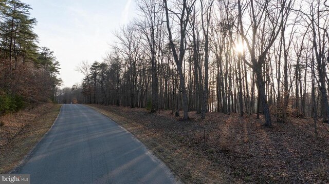 Alma Gaynelle Dr Unit A, Mineral, VA 23117 - photo 37