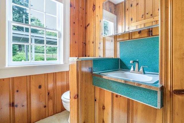 2860 Uphill Dr, Broadway, VA 22815 - half bath with toilet, wood walls, and vanity