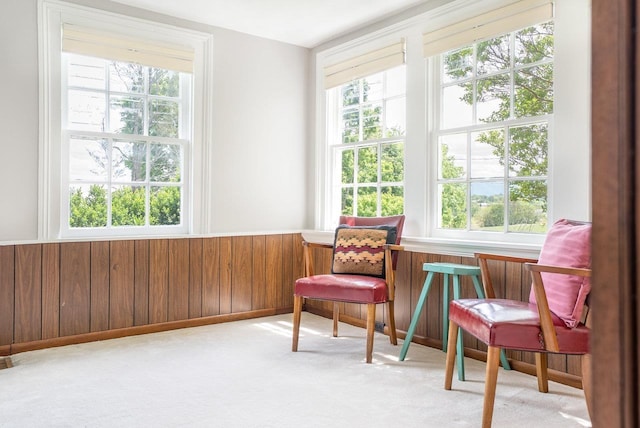 2860 Uphill Dr, Broadway, VA 22815 - living area featuring plenty of natural light, wainscoting, carpet floors, and wood walls