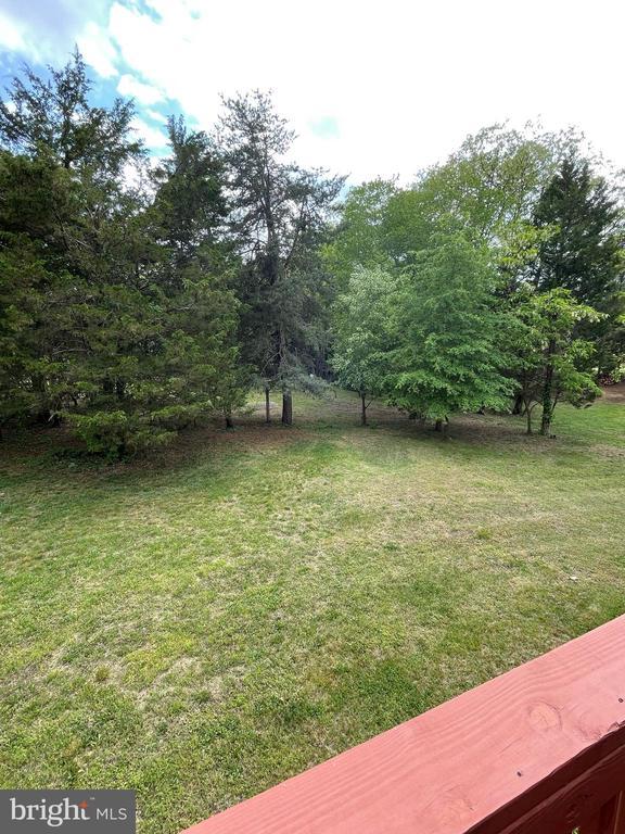 4504 Mine Rd, Fredericksburg, VA 22408 - view of green lawn