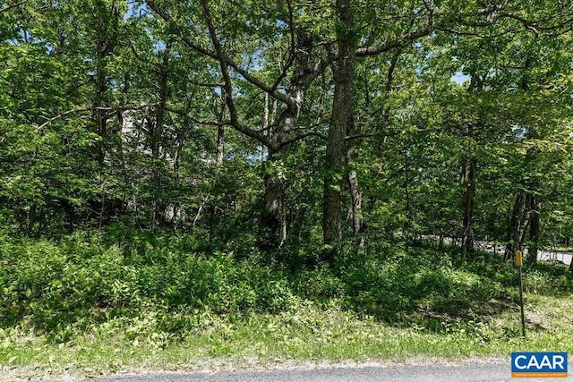 22 Summit Cir, Wintergreen Resort, VA 22967