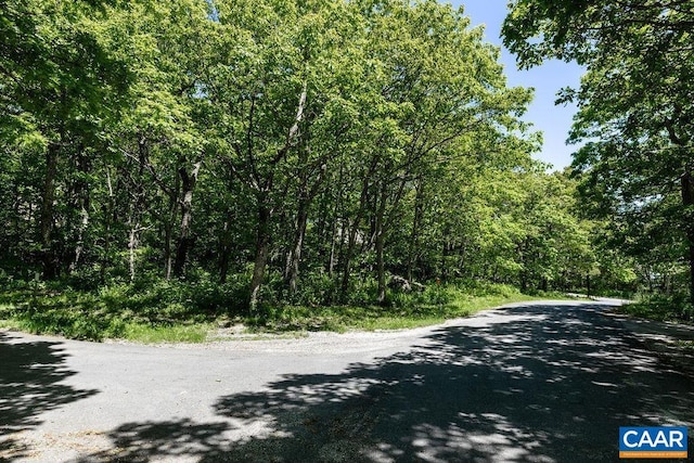 22 Summit Cir, Wintergreen Resort, VA 22967