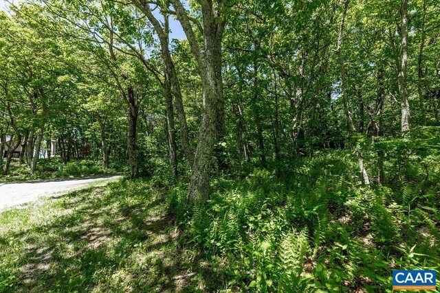 22 Summit Cir, Wintergreen Resort, VA 22967
