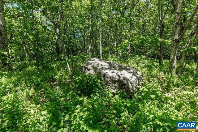 22 Summit Cir, Wintergreen Resort, VA 22967