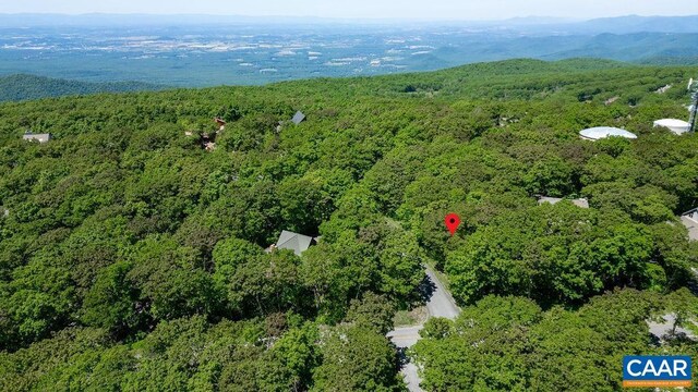 22 Summit Cir, Wintergreen Resort, VA 22967