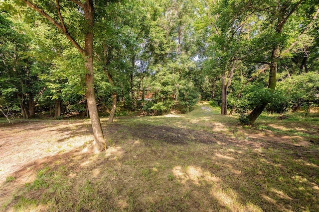 561 River View Dr, Shenandoah, VA 22849 - photo 38