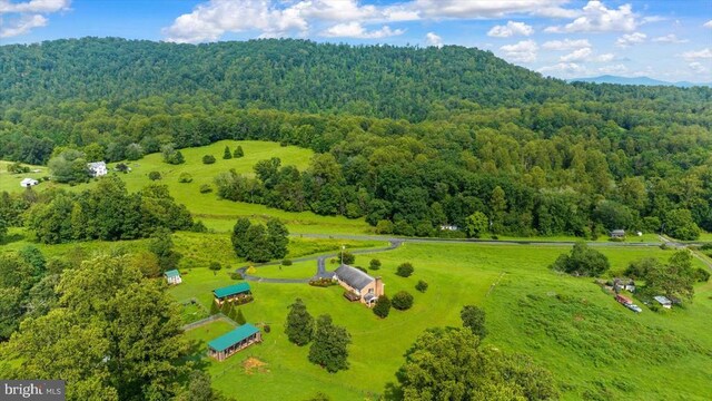 1117 Poor House Rd, Banco, VA 22711 - overview of rural landscape featuring a heavily wooded area
