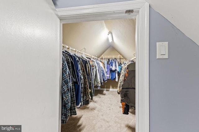 walk in closet featuring carpet and lofted ceiling