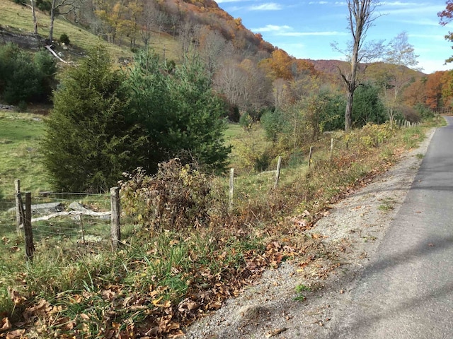 2817 Dry Run Rd, Franklin, WV 26807 - photo 10