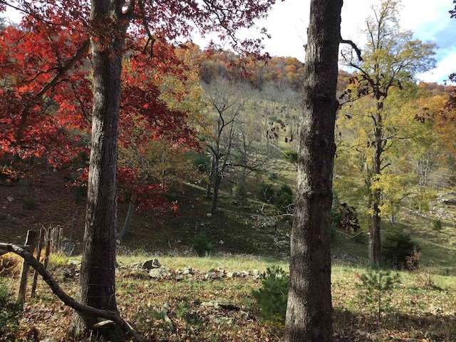2817 Dry Run Rd, Franklin, WV 26807 - photo 2
