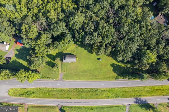 9077 James Monroe, Culpeper, VA 22701 - photo 13