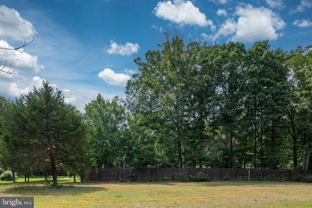 7541 Lawyers Rd, Spotsylvania, VA 22551 - photo 56