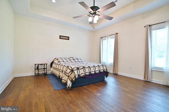 1835 Mill Creek Xrds, Luray, VA 22835 - bedroom featuring a tray ceiling, wood finished floors, and ceiling fan