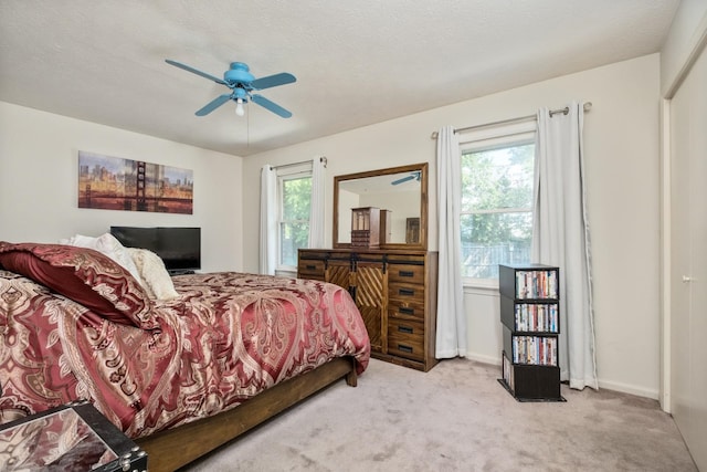 700 Rife Rd Unit 10B, Waynesboro, VA 22980 - photo 8