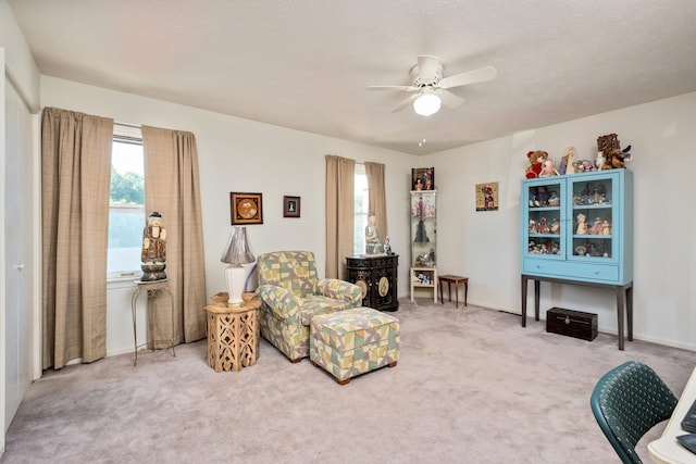 700 Rife Rd Unit 10B, Waynesboro, VA 22980 - photo 6