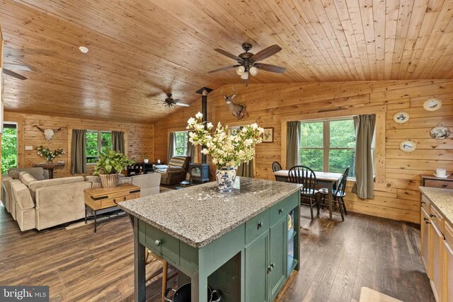 468 George James Loop, Radiant, VA 22732 - kitchen with wooden ceiling, lofted ceiling, a ceiling fan, and green cabinetry