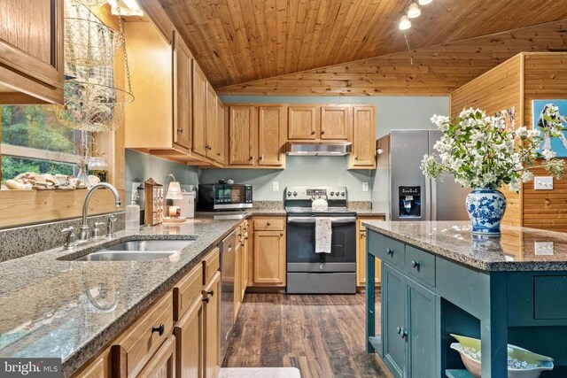 468 George James Loop, Radiant, VA 22732 - kitchen featuring under cabinet range hood, dark wood-style flooring, a sink, vaulted ceiling, and appliances with stainless steel finishes