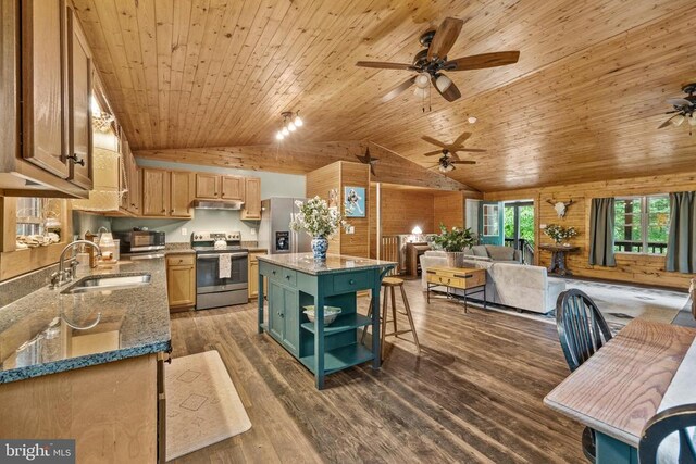468 George James Loop, Radiant, VA 22732 - kitchen with a sink, stainless steel appliances, lofted ceiling, open shelves, and ceiling fan