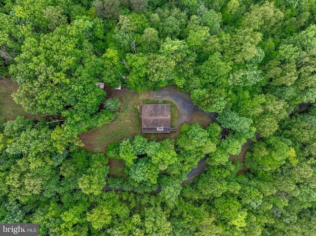 468 George James Loop, Radiant, VA 22732 - birds eye view of property