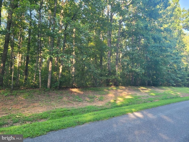 Harness, Louisa, VA 23093
