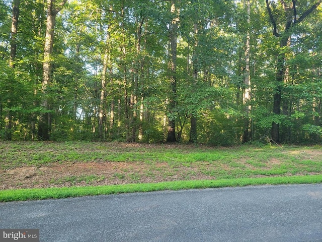 Harness, Louisa, VA 23093