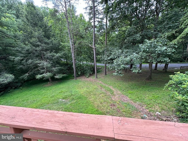181 Hawksbill Pines Rd, Stanley, VA 22851 - photo 18