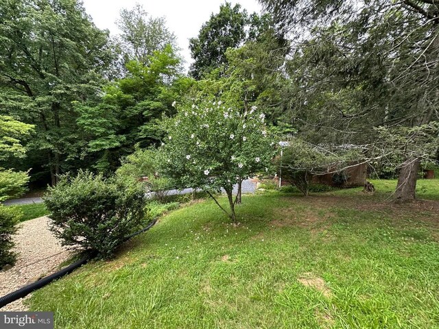 181 Hawksbill Pines Rd, Stanley, VA 22851 - photo 50