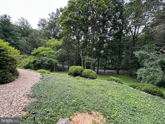 181 Hawksbill Pines Rd, Stanley, VA 22851 - photo 46