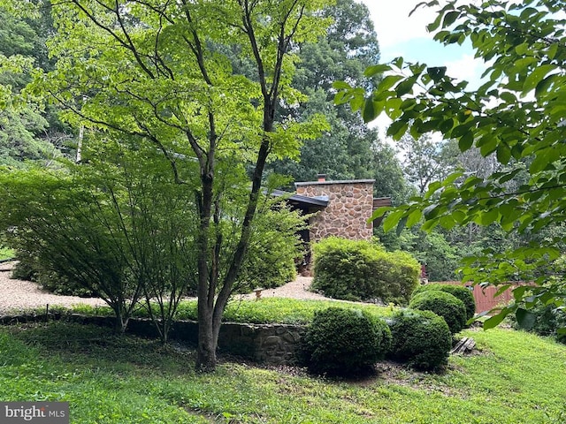 181 Hawksbill Pines Rd, Stanley, VA 22851 - photo 10