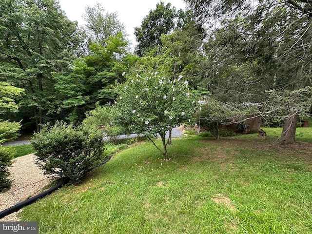 181 Hawksbill Pines Rd, Stanley, VA 22851 - photo 49