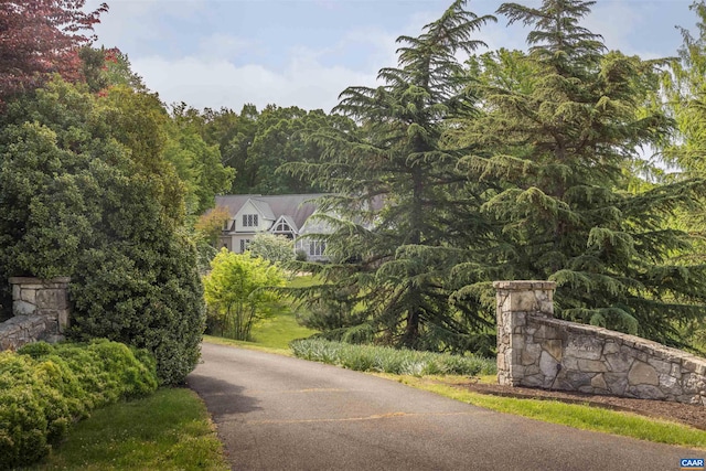view of asphalt road featuring a wooded view