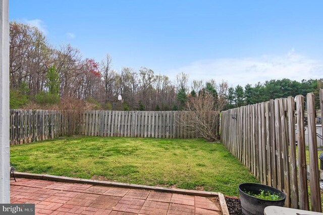 view of yard featuring a patio