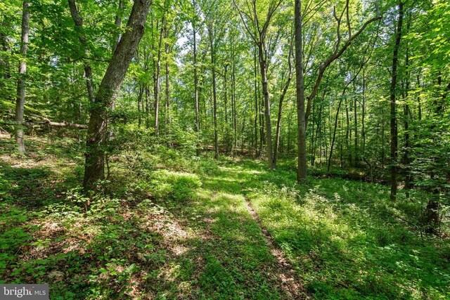 Ellett Ln, Rixeyville, VA 22737