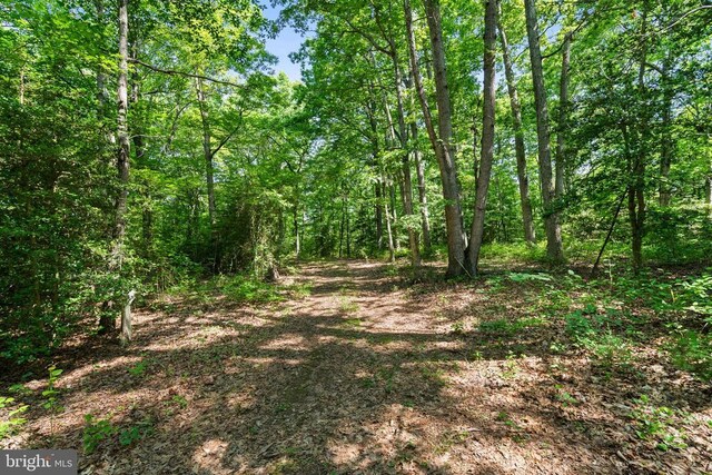 Ellett Ln, Rixeyville, VA 22737