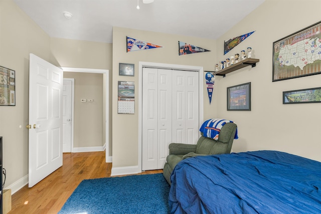 109 Beauregard Dr, Staunton, VA 24401 - bedroom featuring light wood-style flooring and a closet